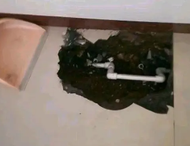 鹤壁卫生间测漏水多少钱